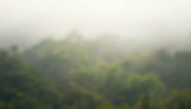软件研发管理效率提升的两个关键环节